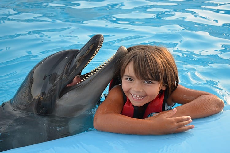 Swimming + Photo session with Dolphins